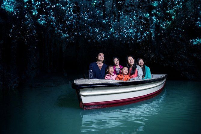 Private Tour [2 Days]: Auckland to Waitomo Caves, Rotorua, Te Puia & Wai-O-Tapu