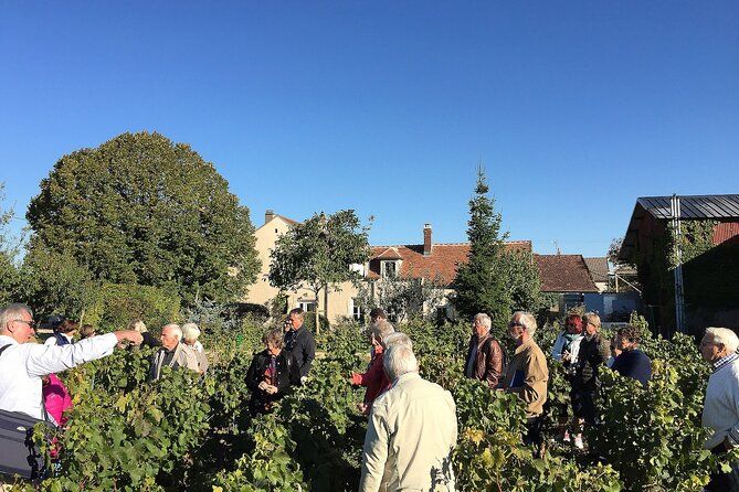 Visit and Chablis wine tasting at Domaine Clotilde Davenne in English