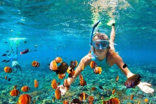 Snorkel and Private Tour in Montego Bay