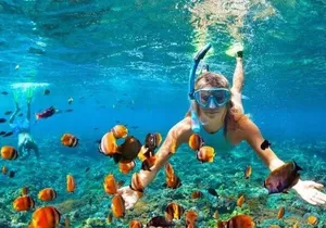 Snorkel and Private Tour in Montego Bay
