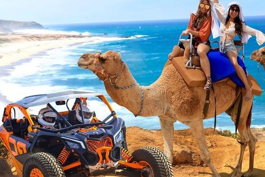 NEW! Combo Camel Beach Ride and UTV 4X4 Cabo Adventure, Tequila &