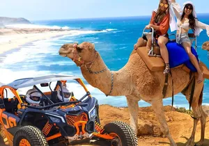 NEW! Combo Camel Beach Ride and UTV 4X4 Cabo Adventure, Tequila &