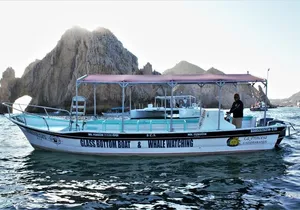 Glass Bottom Boat Sightseeing Tour in Cabo San Lucas