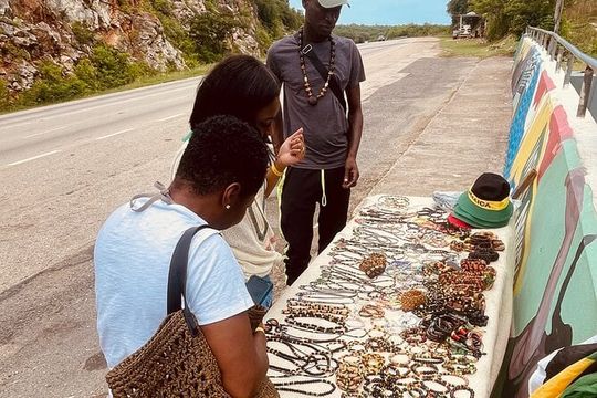 Private Dunn’s River Falls + Zipline over the falls Half Day Tour