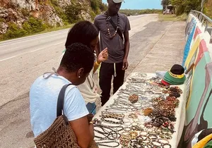 Private Dunn’s River Falls + Zipline over the falls Half Day Tour