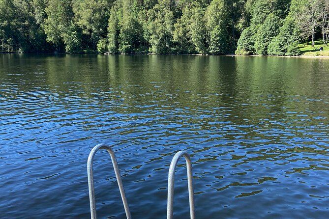 Private Half-Day Swedish Nature Experience