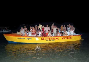 Luminous Lagoon Night Tour from Montego Bay