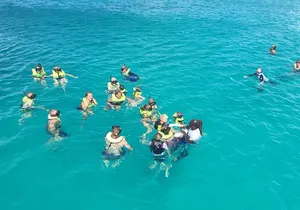 Barbados Turtle and Shipwreck Snorkel Adventure