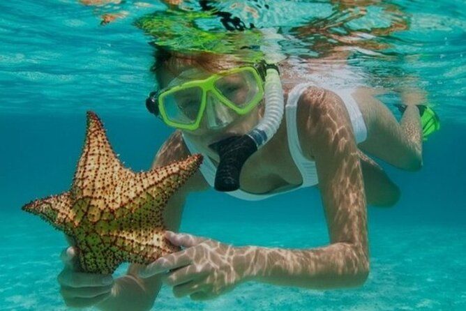 Snorkeling with Margaritaville and shops on Hipstrip activity