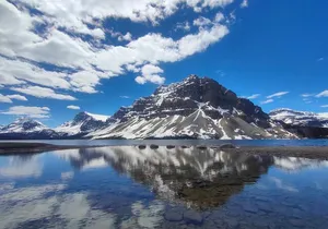 Peyto Lake, Bow Lake Lake Louise Moraine Lake Half Day Tour