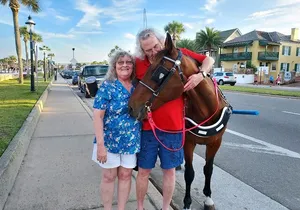 Classic Horse-Drawn Carriage Tour