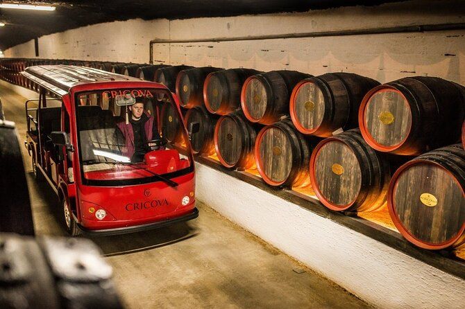 Best of Moldova: Cricova Winery & Old Orhei and Curchi Monastery