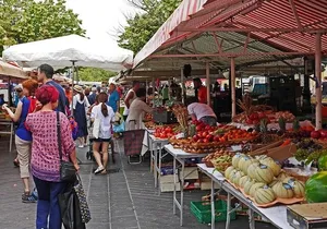 Private guided tour of Nice