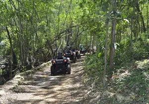 ATV Safari, Zipline Canopy and Catamaran Cruise Experience