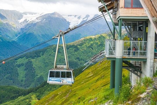 Aerial Tram and Wildlife Center tour from Anchorage
