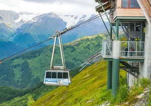 Aerial Tram and Wildlife Center tour from Anchorage