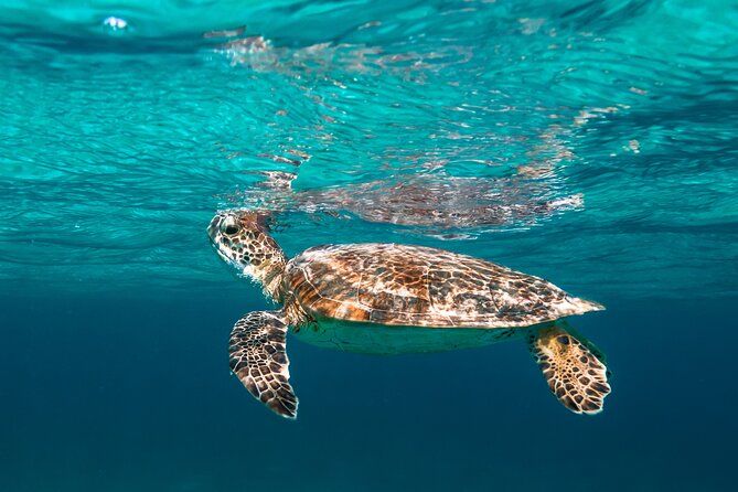 E-Snorkeling tour in Bonaire with easy Sea Scooters