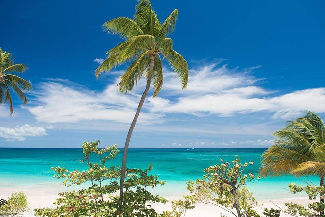 Grenada Private Tour: Spices, Waterfalls & Hidden Beaches