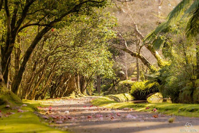 Full-Day Furnas Tour: Hot Springs, Traditional Lunch & Tea
