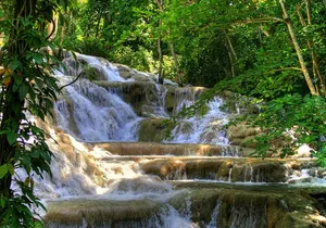 Day Trip to Dunn's River Falls from Montego Bay