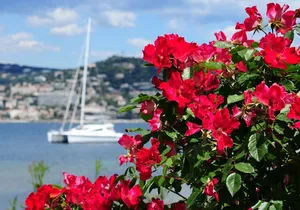 Shore excursion to Grasse, Antibes, St Paul de Vence from Cannes