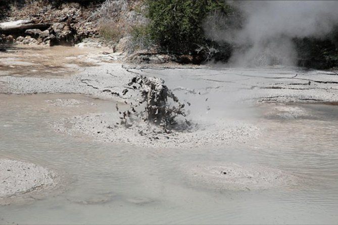 Boutique tour, Mt Maunganui, NZ farm, Rotorua lakes/geothermal