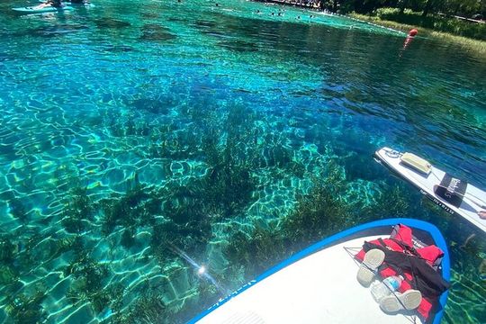 Rainbow Springs Electric Paddle Tour