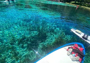 Rainbow Springs Electric Paddle Tour