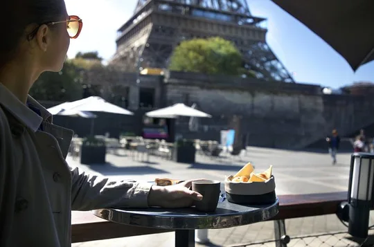 Seine River Sightseeing Cruise and Lunch at Le Bistro Parisien