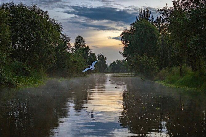 Xochimilco Sunrise from Mexico