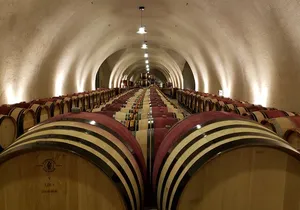 6 Hour Private Cabernet Sauvignon Wine Tour in Napa Valley