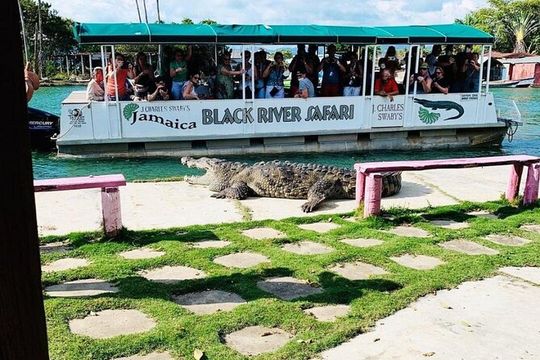 Black River Safari and Floyd Pelican Bar Tour from Montego Bay