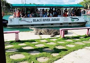 Black River Safari and Floyd Pelican Bar Tour from Montego Bay