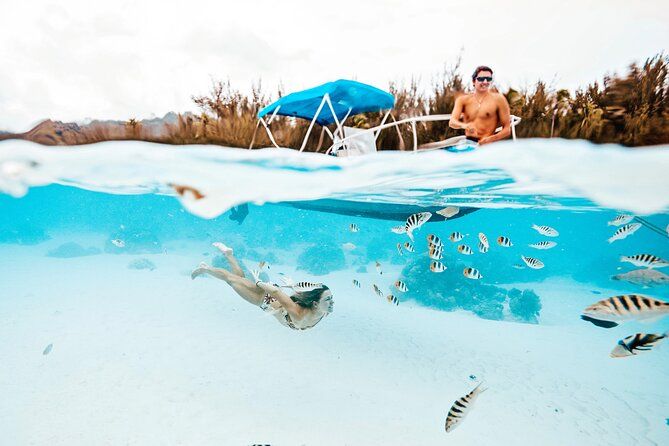 Lagoon and Wildlife Discovery on a Private Boat in Moorea