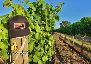 The Napa Native Experience