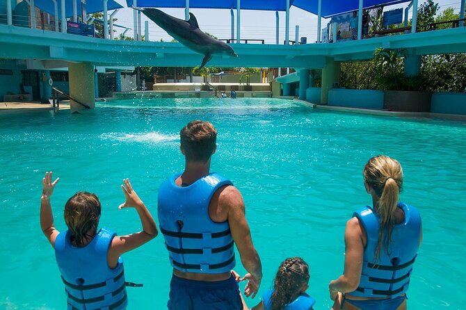 Meeting at the Dolphinarium