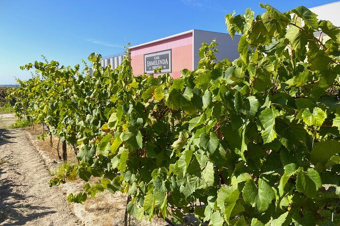 Lisbon Southern Region (Fernão Pó) Wine Tasting Private Tour