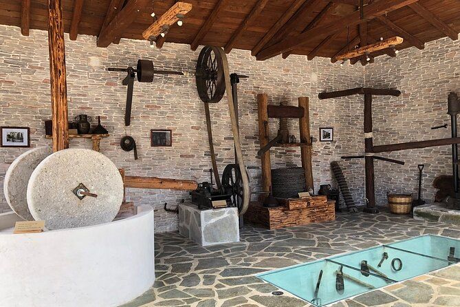 The Governor's Olive Mill Tour with Olive Oil Tasting