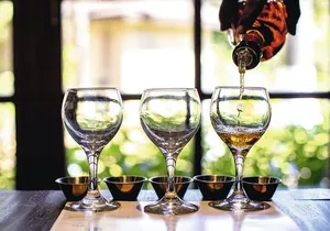 Full-Day Appleton Rum, YS Falls and Pelican Bar Private Tour