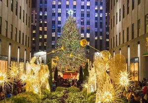 Christmas in New York: Private Holiday History Tour