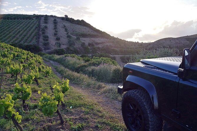 Private Exclusive Manousakis Winery and Vineyard Tour