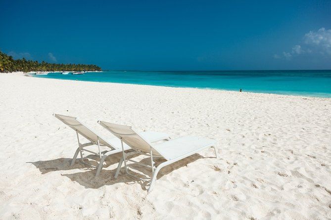 Saona Private Full-Day Tour from Punta Cana