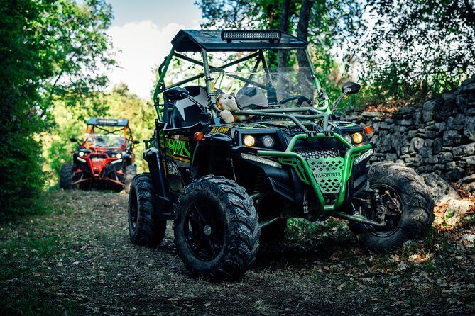 Fažana: 2H Guided Buggy Tour in the Heart of Istria