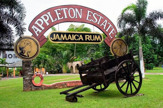 Private Appleton Estate Rum & YS Falls Tour from Montego Bay