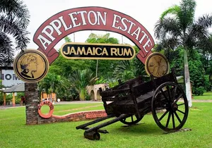 Private Appleton Estate Rum & YS Falls Tour from Montego Bay