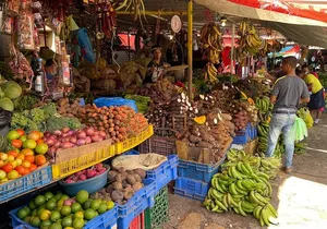 Discover Dominican life