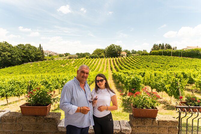 Sella delle Spine Taurasi: Tasting, Vineyard and Cellar Tour