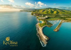 Honolulu Airport & Ko Olina Hotels Private Transfer by Minivan (up to 5 people)