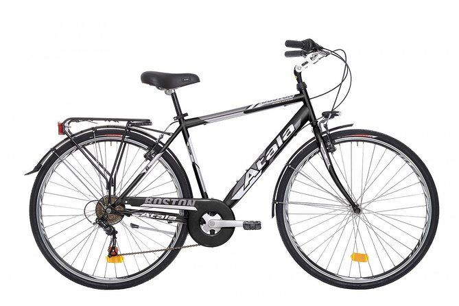 CityBike Rental in Palermo