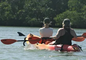 Nauti Exposures - Kayak rental Naples, FL
